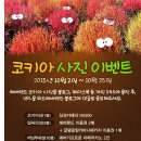 에버랜드 할로윈축제다녀왔어요 ^^