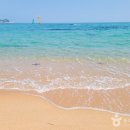 속초시민약국 이미지