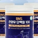 BNS산양유단백질100