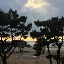 해든스테이 | 태안 오션뷰 펜션 추천, 청포대 감성 숙소 해든스테이 201호 내돈내산 후기