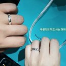 수원-1837 이미지