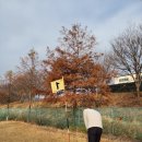 백진공원(파크골프장) 이미지