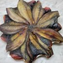 UR(강릉시)-[주문북로]-상-1 | 별빛수산의 냉풍으로 실내건조한 반건조생선을 만나보세요!!