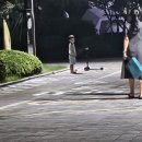 1:1컨설팅 연기, 늦여름 회사일상과 저녁있는삶!