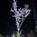 벡스코역사 | 부산 벡스코 벤츠 기브앤레이스 대회 참가 후기 - 대구에서 부산까지 기차로