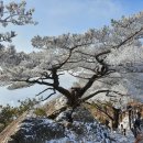 천마산(812m) (12월30일,토)산행 이미지