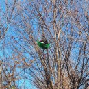 캠퍼스타운역 3번출구 앞 이미지