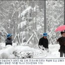 대도물류 이미지