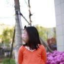 효림플라워 이미지