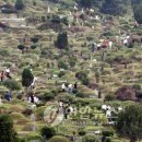 충주시 공설묘지 이미지