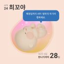 대림세탁 이미지