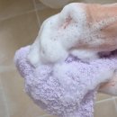the 피부애정 | [일본 쇼핑 필수템! 거품 폭탄 히오리에 아와몬 샤워타올로 예민한 피부 순하게 케어하기]