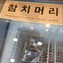 참치정육점닌자 이미지