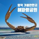 제 27회&#34;영덕대게&#34;축제[2025년 2월 27일(음:1월 30일) 일출 07시:9분.일몰18시 20분] 이미지