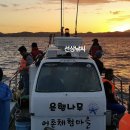 안면도은행나무민박 티스토리