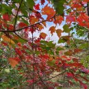 우리농원 이미지