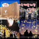 수풍공원 | [강릉] 내 돈 내산 후기, 강릉 현지인이 추천하는 실내 데이트 코스 │<아르떼뮤지엄 강릉>