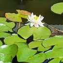 전래놀이 한바탕 이미지