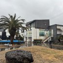 블루스프링리조트 이미지