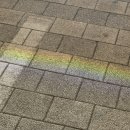 럭키행운당구클럽 | 자몽살구클럽