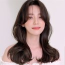 오늘 염색할까?! | 밀본 루센트세피아 내돈내산 셀프염색 후기 (비율, 꿀팁)