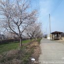 이인우체국 이미지