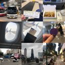 7. 4박 5일 대만자유여행(알참의 끝판왕, 11월 날씨최고)