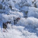 227차(2020년 1월)정기산행 -덕유산 눈꽃- 이미지