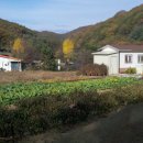 산골낚시터 이미지