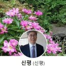 신평 변호사, 이준석 대표의 결격사유 이미지