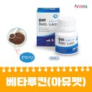 에코펫케어 네이버블로그