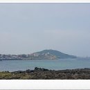 약국,오늘 이미지