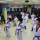마루한튼튼태권도장 이미지