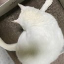한성데코 - 천안시 서북구 성정중1길 31 | 한성데코