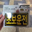 겨울인지 봄인지 아주 들쑥날쑥 난리다