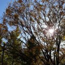 산호동222 이미지