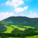 신원대로-4 이미지