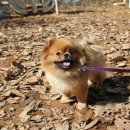 수플러스 이미지