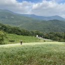 알프스비디오 이미지