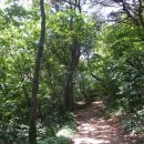 광산구-151 이미지
