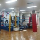 한국체대 복싱클럽 이미지