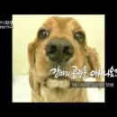 여수동물약국 이미지