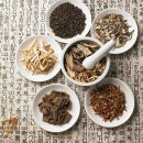 꽃빛한방병원 이미지