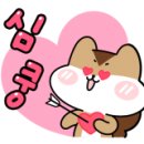 김가은헤어 이미지
