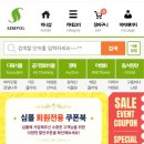 올리브나무 이미지