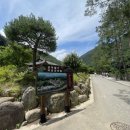 삼척활기자연휴양림 이미지