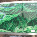 어라연송어횟집 이미지