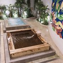 웰빙수영장 이미지