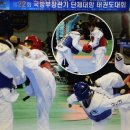 바른태권도 체육관 이미지