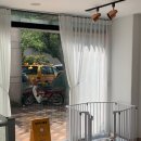 다소니펫살롱 이미지